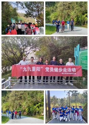 文章封面图