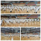 沙縣區(qū)老體協(xié)太極拳大聯(lián)動(dòng) 弘揚(yáng)民族優(yōu)秀傳統(tǒng)文化