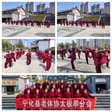 寧化縣老體協(xié)開(kāi)展“三八婦女節(jié)”太極拳展示活動(dòng)