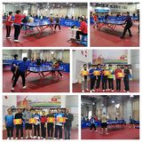 大田縣老體協(xié)乒乓球俱樂(lè)部舉辦2024年度乒乓球雙打比賽活動(dòng)