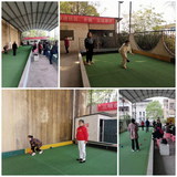 沙縣舉辦地?cái)S球單人升降級(jí)賽