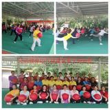 大田县老体协拳剑俱乐部成功举办“50式健身功气球套路”培训班