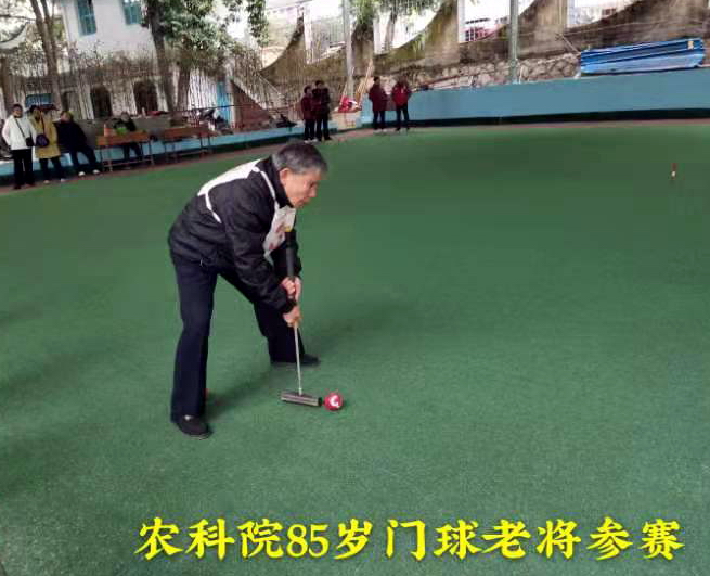 沙县老体协举办门球赛1.jpg