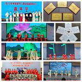 永安市健身气功代表队在2025年全国健身气舞交流大会上荣获佳绩