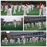 首个“国际太极拳日” 大田太极表演展风采