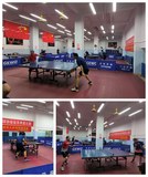 三元區(qū)舉辦2025年老年人乒乓球邀請(qǐng)賽